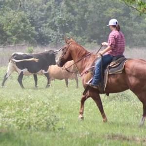 Meet your Posher, Joni